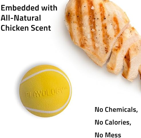 Playology Squeaky Chew Ball Dog Toy - Medium, Chicken Scent, 2-Pack - Image 4