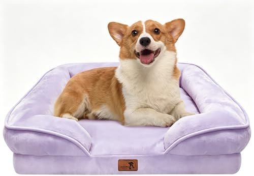 Spotted Play Orthopedic Dog Bed with Sides - Sofa Beds for Medium Dogs, Supportive Foam Pet Couch Bed with Washable Removable Cover, Waterproof Lining and Non-Slip Bottom, Purple - M by Spotted+Play