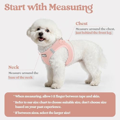 rabbitgoo Dog Harness Medium Sized and Leash Set, Step-in Puppy Pet Vest - Image 2