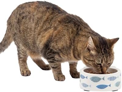 Kitty City Elevated Melamine Cat Bowl - Raised Tilted Dish for Food & Water, Sturdy Non-Slip Base, Non-Porous & Break Resistant, Dishwasher Safe, Indoor or Outdoor Pets – 5.4oz Capacity, Blue Fish - Image 2
