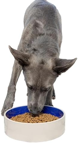 SPOT Standard Crock Dish - Heavy Duty, Non-Slip, Round Ceramic Food/Water Bowl for Pets, Ideal for Medium to Large Dogs or Multiple Animals, Dishwasher Safe - 9.5 in, 8 Cups, (64 Oz) by SPOT