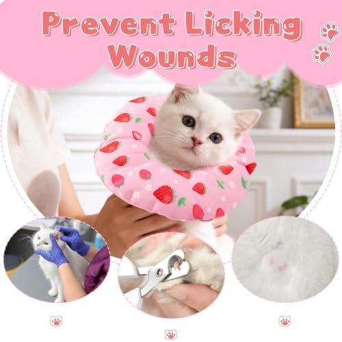 Cat Cone Collar Soft, Small Waterproof Cat Recovery Collar - Image 5