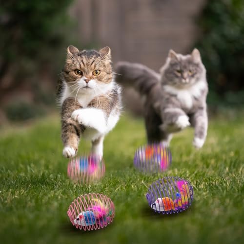 Jecery 25 Pcs Cat Toys Spring,Mouse and Bell,Colorful - Image 6
