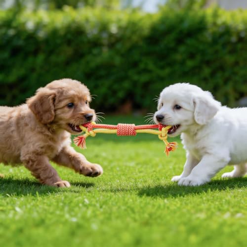 3Pcs Dog Rope Toys for Puppy, Dog Chew Toy for Medium&Small Dog - Image 4