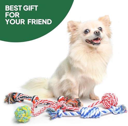 TwoEar Dog Rope Toy 4 Pack - Puppy Teething Toys for Small Breed - Image 4
