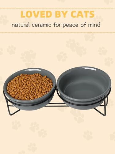GDCZ Elevated 15 Oz Ceramic Double Cat Bowls with 11.6x2.5 Inch Stand (Grey) - Image 4