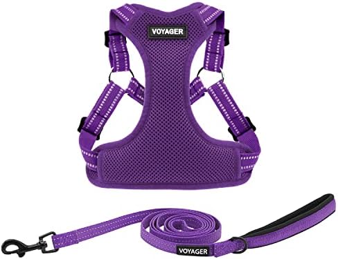 Best Pet Supplies Voyager Adjustable Step-in Flex Breathable Mesh Dog Harness for Small Medium Large Dogs Leash Set (Purple), XS by BestPetSuppliesLLC