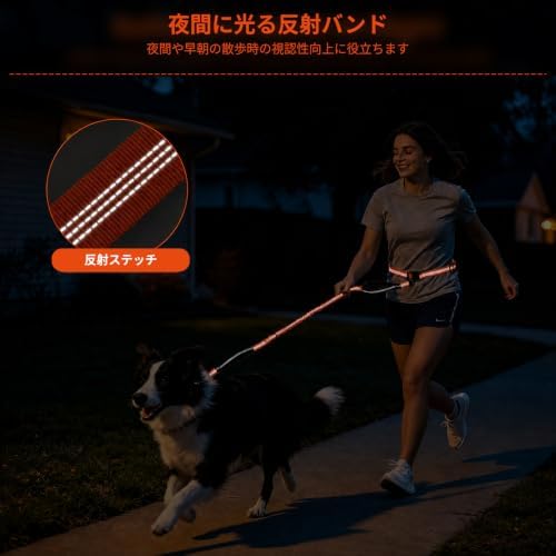 Hands Free Double Dog Leash, 4 Reflective Padded Handles, Adjustable Waist Belt 27-51", Shock-Absorbing Bungee, 360° Swivel Clips, for Small, Medium & Large Dogs, Walking Jogging Running - Image 5