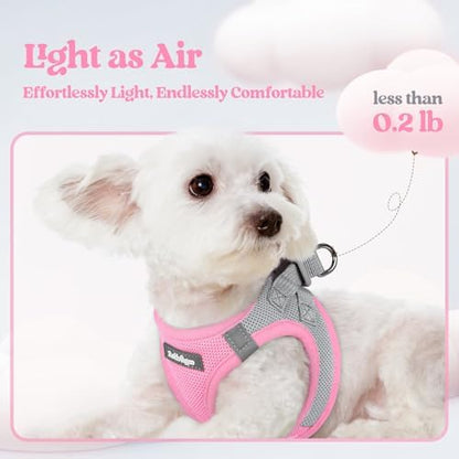 rabbitgoo Dog Harness Medium Sized and Leash Set, Step-in Puppy Pet Vest - Image 4