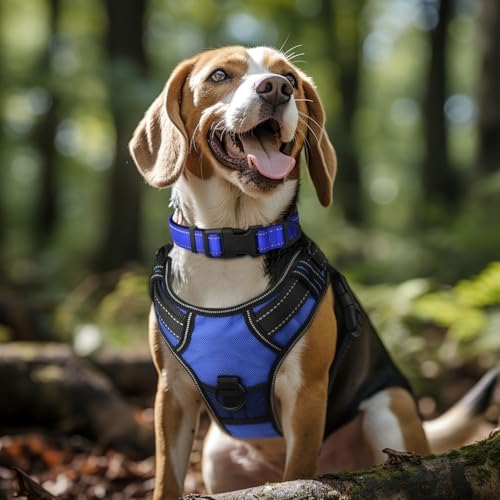Joytale Reflective Dog Collar, Adjustable Neoprene Padded, Navy Blue XL - Image 2