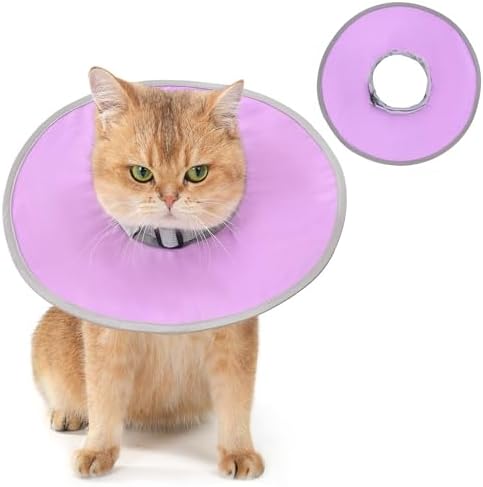 Avont Lightweight Waterproof Foldable Cone, Soft E-Collar - M Purple by Avont