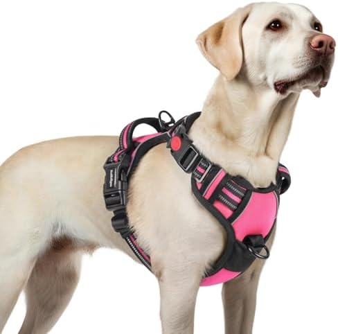 rabbitgoo Dog Harness for Large, Updated Easy On & Off with 3 Buckles by rabbitgoo