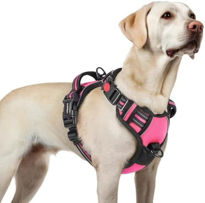 rabbitgoo Dog Harness for Large, Updated Easy On & Off with 3 Buckles by rabbitgoo