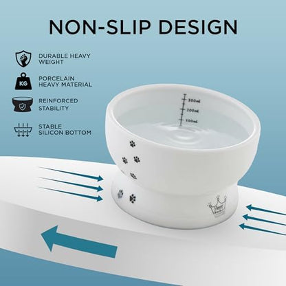 Necoichi Ceramic Elevated Cat Water Bowl, Whisker-Friendly (Cat, Regular) - Image 6