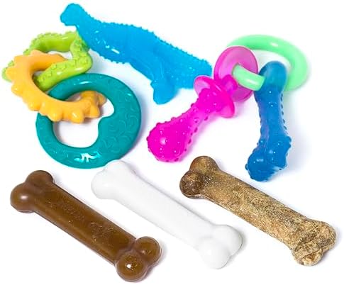Nylabone Puppy Chew Toy & Treat Bundle, Small, 6 Count by Nylabone