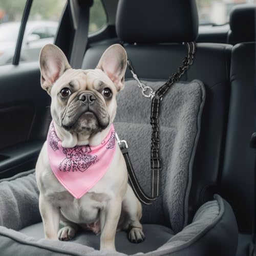 Double Dog Leash, 360° Swivel No Tangl-e Bungee Walking Training Leashes, Comfortable Shock Absorbing Reflective Bungee Reflective Walking Training Leash for 2 Dogs - Image 6