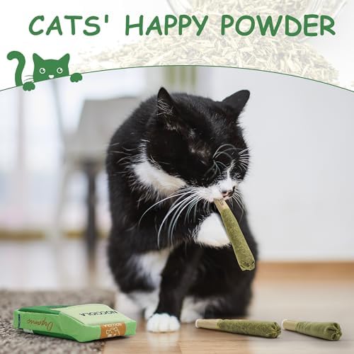 Nocciola 3 Pack Catnip Toys for Cats, Funny Cat Toys Filled with 100% Pure Organic Catnip, Safe Kitten Teething Chew and Kicker Toys, Stress Relieving Fun for Indoor Cats - Image 4