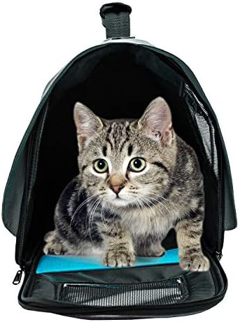 Pawer 18” x 11”x 11” Soft-Sided Foldable Airline Approved Pet Carrier for Cat, Puppy and Small Dog, Washable 600D Oxford Fabric, with Handle and Strap for Carry, Multiple Colors Available - Image 5