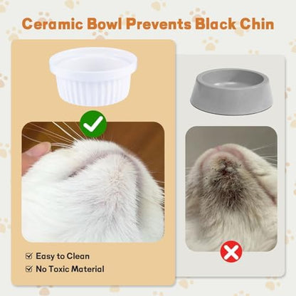 Elevated Adjustable Cat Bowl Set with 2 Dishes for Cats & Small Dogs - Anti-Vomiting,15° Tilted and Rasied Bowls with Non-Slip Design, Food-Grade Ceramic, Easy to Clean - Image 5