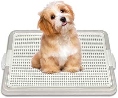 Dog Pee Pad Holder Tray, Puppy Potty Training, 22.5"x16.5", PP Plastic, Snap Lock, 4 Colors (Gray) by Unknown