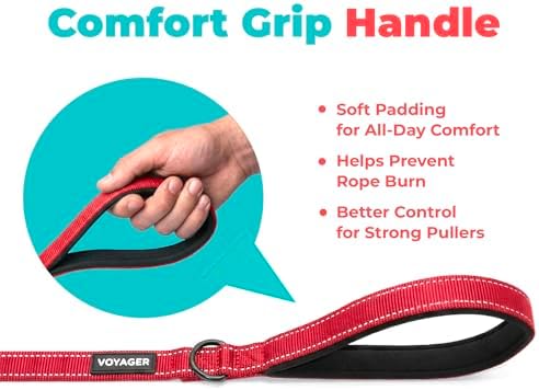Best Pet Supplies Voyager Nylon Dog Leash - Red, Medium - Image 5