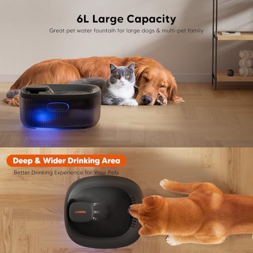 WOPET Dog Water Fountain for Large Dogs, 6L/205oz/1.6Gal Automatic Dog and Cat Water Fountain, Pet Water Dispenser with 2 Filters, Ultra-Quiet Pump, Great for Large Dogs Cats and Multi-Pet Home - Image 2