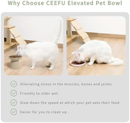 CEEFU 2-Pack Extra Wide Elevated Ceramic 6.2" Shallow Cat Food Bowls - Image 3