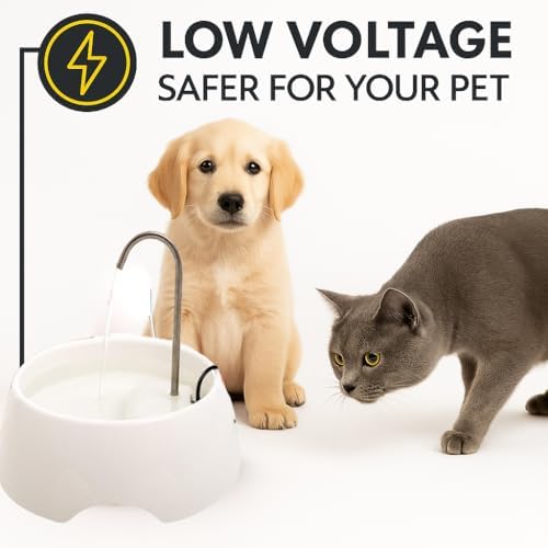 Aqua MINI Portable Pet Water Fountain - Automatic Drinking Bowl for Cats and Dogs - Stainless Steel Faucet - Replaceable Filters - Easy Cleaning - Ideal for Multiple Pets - 1.2L/42 fl oz - White - Image 4