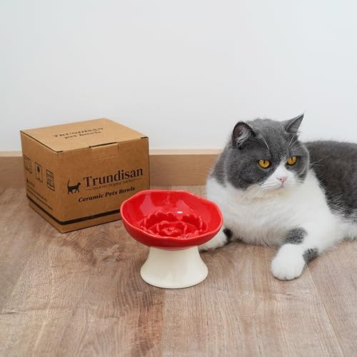 Ceramic Slow Feeder Bowl for Cats and Small Dogs, Elevated Tilted Pet Food Dish, Whisker Friendly Anti-Vomit Design, Heavy Stable Base, Dishwasher Safe， 5 Colors Options (Ruby Red) - Image 5