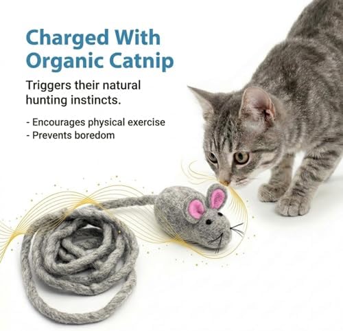 Glaciart One Felt Mouse Cat Toy – Soft Fuzzy Enrichment 100% Natural Wool - Interactive Catnip Play Cat Toy Set - Safe for Pets, Non-AZO Colored Dyes - 100” Long - Image 6