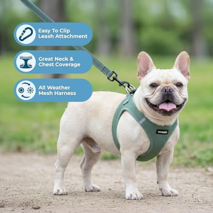 Best Pet Supplies Voyager Step-in Air All Weather Mesh Harness and Reflective Dog 5ft Leash Combo with Neoprene Handle, for Small, Medium and Large Breed Puppies - Moss Green, XXS - Image 2