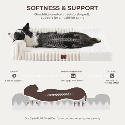 Orthopedic Dog Bed Medium 30x20x8.5” Washable Cover Cream - Image 5