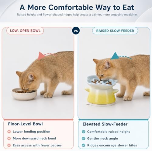 Slow Feeder Cat Bowl with Anti Slip Padfor Dry and Wet Food - Image 3