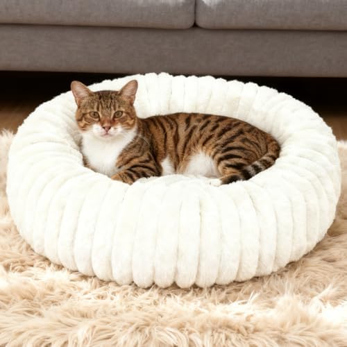 Washable Small Cat Dog Bed,Puppy Bed Cat Beds for Indoor Cats(White, S) by Unknown