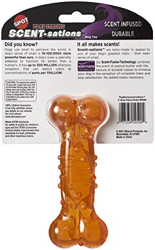 SPOT Play Strong Scent-sations Bone- Scent-Infused, Strong, Durable TPR Rubber, Heavy Duty Dog Toys for Aggressive Chewers up to 45lbs, Great for Puppies & Medium Breeds, 5in, Peanut Butter Flavored - Image 2