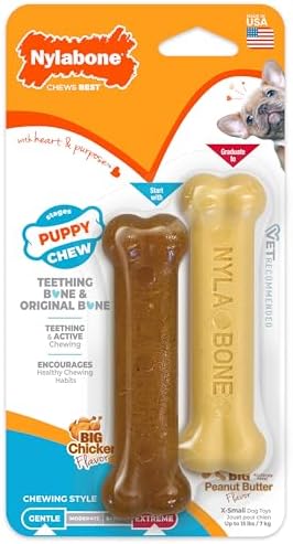 Nylabone Puppy Chew Teething Bone & Original Bone Dog Chew Toys, 2 Count by Nylabone
