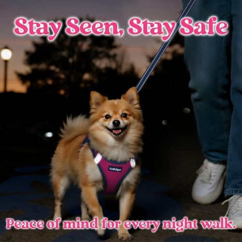 rabbitgoo Dog Harness Small Sized and Leash Set, Step in Soft Vest - Image 5