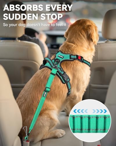 Joytale 3-in-1 Bungee Dog Seat Belt for Car, Medium and Large Dogs, Teal - Image 3