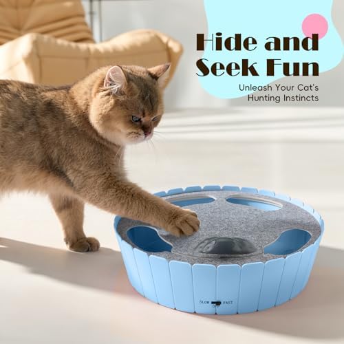 Pawaboo Interactive Cat Toy with Running Mouse, Automatic Track Kitten Toy - Image 2