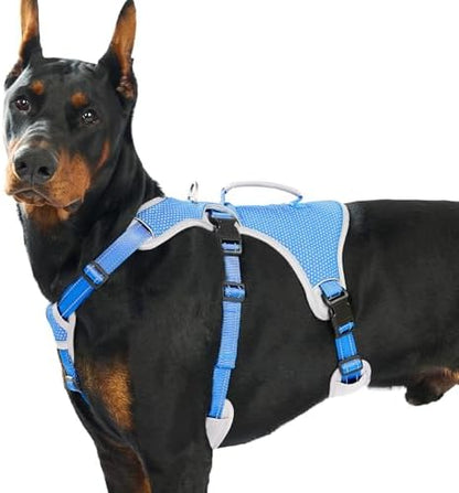 Huntboo Escape Proof Dog Harness, Dachshund Harness, Reflective Dog Harness with Handle, Durable,Adjustable Vest for Small Medium Large Dogs Walking, Training, and Running Gear (Sea Blue,XL) by Huntboo