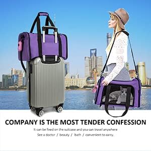 Cat Carrier Dog Carrier Pet Carrier Cat Bags for Small Medium Cats Dogs Puppies of 15 Lbs,of Airline Approved Small Dog Bag Soft Sided,Collapsible Travel Puppy Carrier (Large, Purple) - Image 5