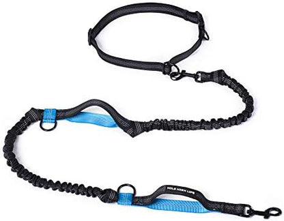 Mile High Life Hands Free Leash, Waist Leash for Dog Running Training and Jogging, Adjustable Belt with Double Padded Handle, Reflective Bungee for Medium Large Dogs (Blue, 7FT) by MileHighLife