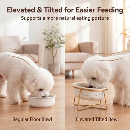 White Large Ceramic Tilted Elevated Cat Dog Bowl Raised Cat Food Water Bowl Dish Pet Comfort Feeding Bowls with Gold Iron Stand - Image 4