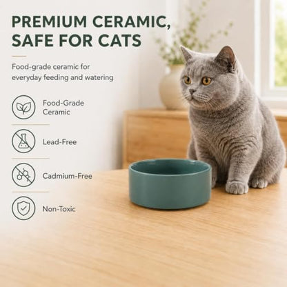 Havniva Cat Bowls Set of Two, 5.1” Ceramic Cat Food Bowls, Cat Water Bowl - Image 4