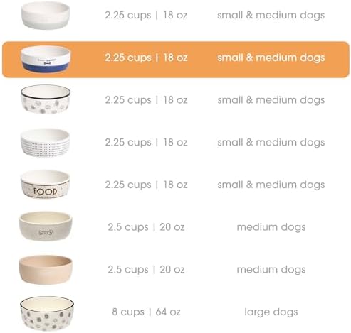 Pearhead Ceramic Bone Appétit Dog Bowl - Blue & White - Image 3