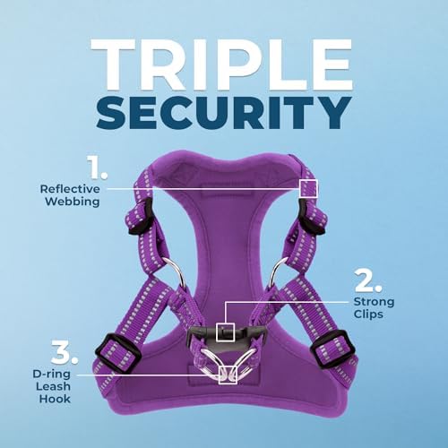 Voyager Step-in Flex Adjustable Dog Harness - Purple, X-Large - Image 2