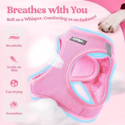 rabbitgoo Dog Harness Small Sized and Leash Set, Step-in Puppy Pet Vest - Image 3