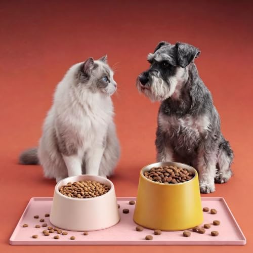 Waterproof Silicone Pet Feeding Mat, Dog Cat Food Water Bowl, Raised Edge - Image 6