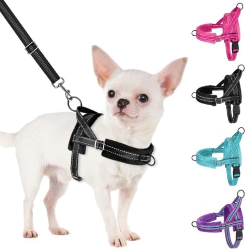 SlowTon No Pull Small Dog Harness and Leash Set with Front Clip by SlowTon