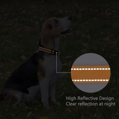 Reflective Dog Collar, Adjustable Nylon for Small Dogs, Orange - Image 5